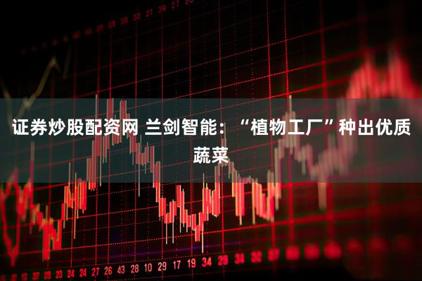 证券炒股配资网 兰剑智能：“植物工厂”种出优质蔬菜